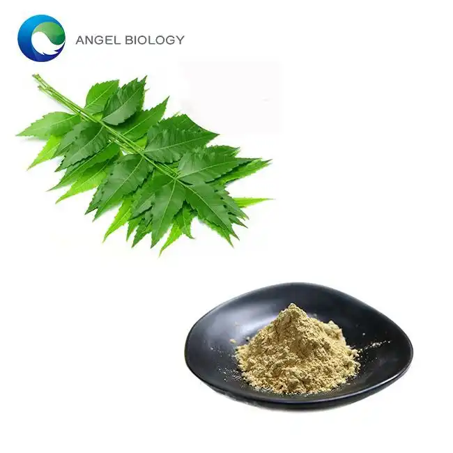 Neem Leaf Extract Powder